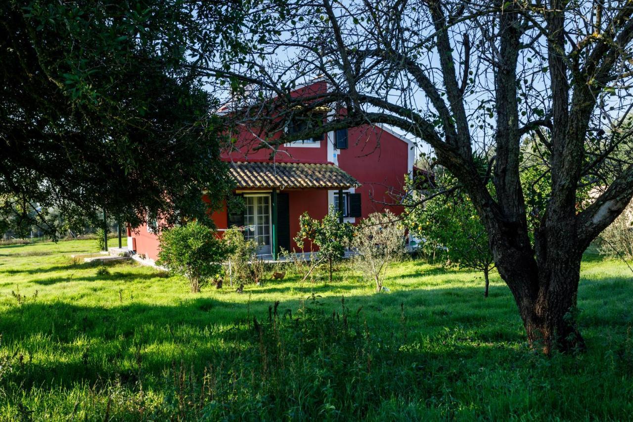 Fridas Place Halikounas Extérieur photo